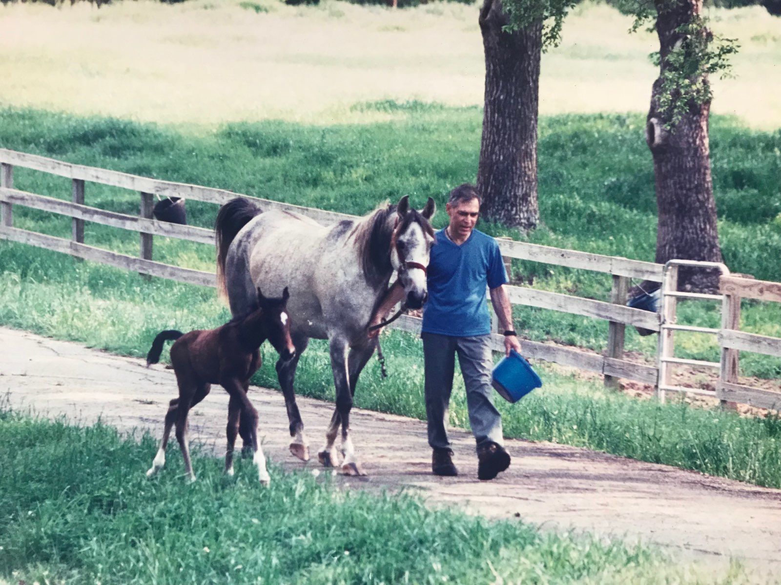 Gary Kimmel with a horse